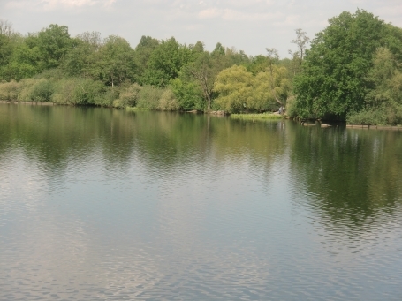 Nettetal-Hinsbeck : Krickenbecker Seen, Hinsbecker Bruch